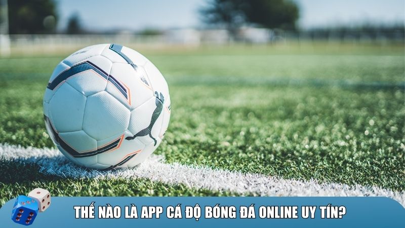 Thế nào là app cá độ bóng đá online uy tín?
