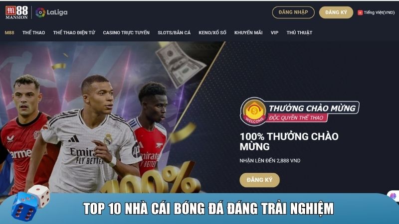 M88 – Nhà cái hàng đầu Châu Á