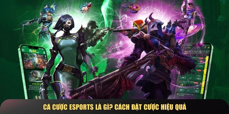 Cá cược Esports đang trở thành một xu hướng hấp dẫn