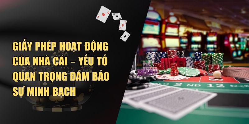 Giấy Phép Hoạt Động