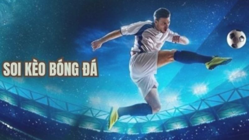 Nên kiểm tra thông tin soi kèo từ nhiều nguồn khác nhau