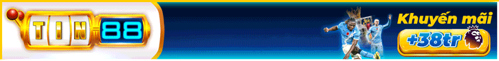 TIN88