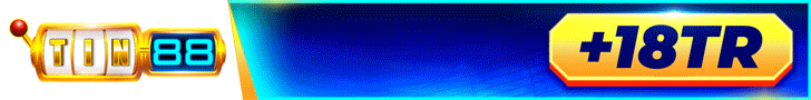 TIN88